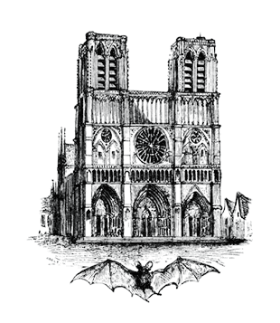 cathedral Notre-Dame's engraving